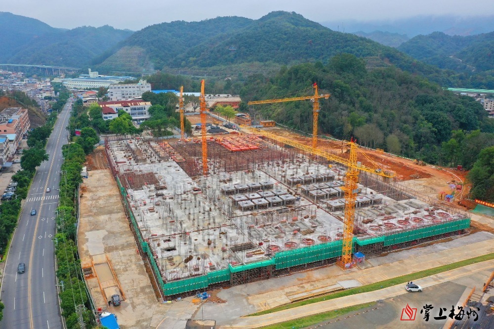 “新春走基层·企业行”全媒体采风团走进半岛平台科技